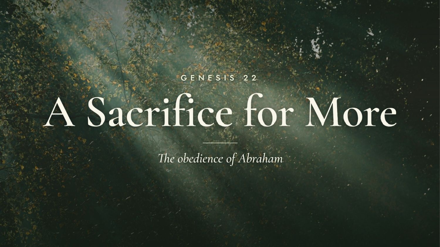 A Sacrifice for More